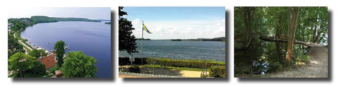 Dieksee